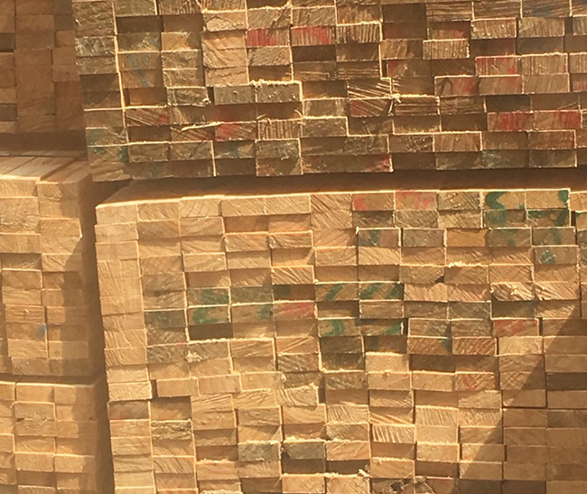 桐城新西兰进口松木